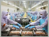 Xuất khẩu thuỷ sản 11 tháng đạt 9,2 tỷ USD, Vasep tự tin cán mốc 10 tỷ USD năm 2024