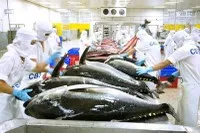 Xuất khẩu thủy sản trước cơ hội vượt mốc 12 tỷ USD trong năm 2026.