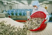 Xuất khẩu thủy sản quý I/2026 đạt 2,64 tỷ USD, tăng 14,4%