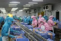 Xuất khẩu thuỷ sản tháng 1/2025 tăng 3,3%, tôm và cá tra diễn biến trái chiều