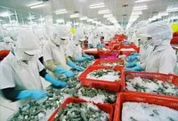 Xuất khẩu thủy sản tháng 3 tăng chậm lại, thị trường Trung Quốc bứt phá nhờ yếu tố mùa vụ