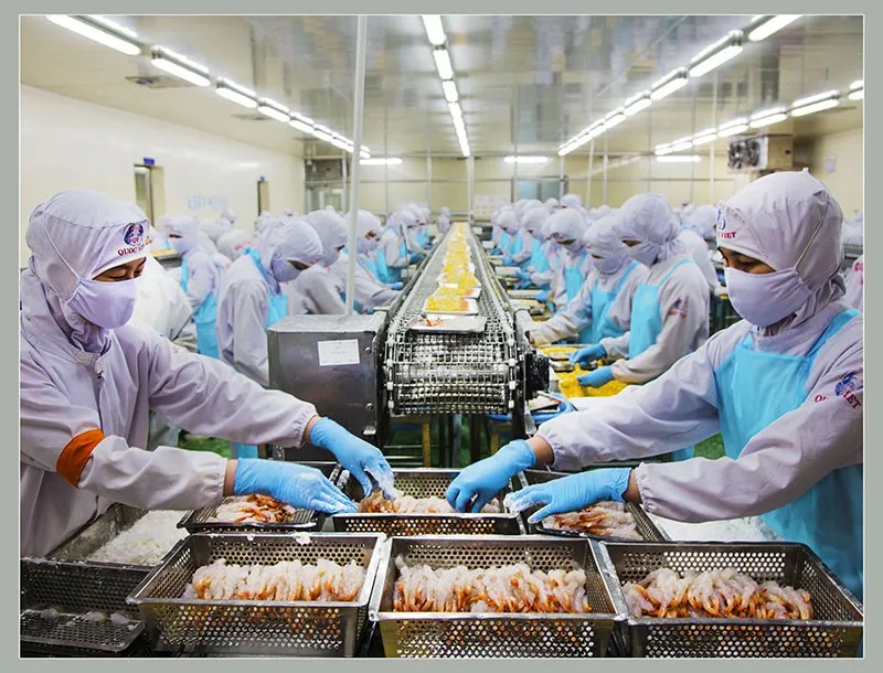 Xuất khẩu thuỷ sản tháng 5 tăng chậm lại, đạt 851 triệu USD