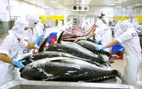 Xuất khẩu thuỷ sản vượt 10 tỷ USD trong năm 2024, tăng 12,7%