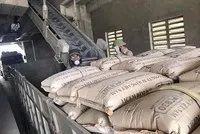 Xuất khẩu xi măng, clinker trong tháng 1/2025 tiếp tục giảm sâu 36,7% về lượng và 36% về trị giá.