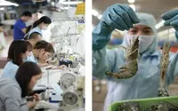 Sự phân hóa lợi nhuận trong ngành dệt may và thủy sản sẽ ngày càng rõ rệt