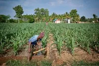 Xung đột kéo dài, lo ngại khủng hoảng lương thực toàn cầu gia tăng