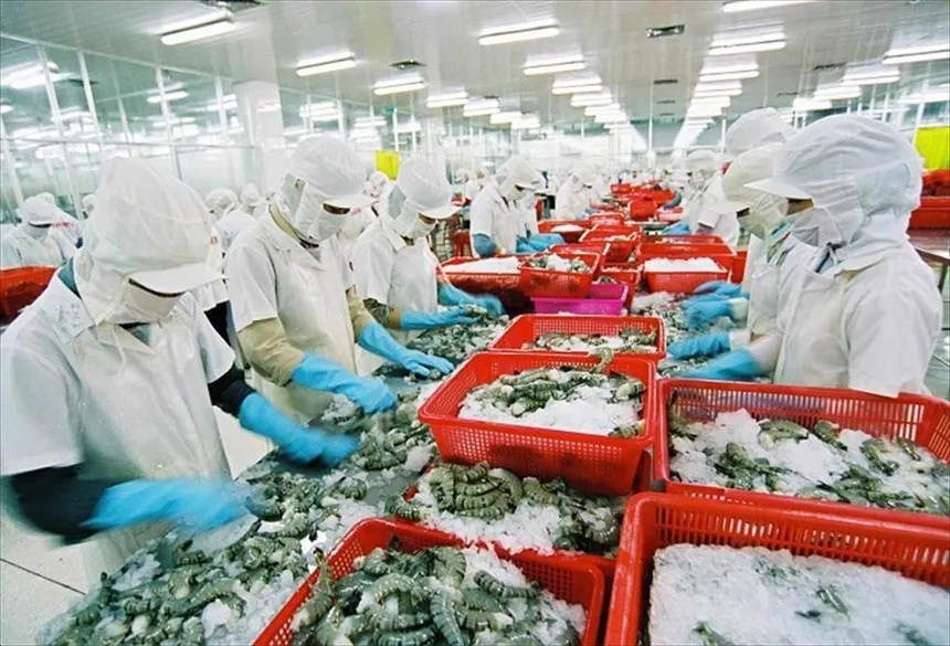 Xung đột Trung Đông leo thang, Vasep nhấn mạnh 3 tác động tới xuất khẩu thủy sản Việt Nam
